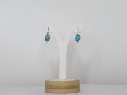 Turquoise Stone Earrings in Blue